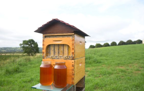 arı kovanları nasıl açılır